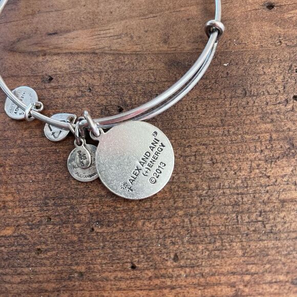 2 Alex and Ani United States NAVY Charm Bangle Bracelet Rafaelian Gold Silver - Picture 6 of 8